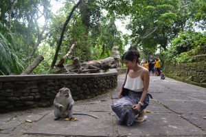 Monyet di Ubud Bali