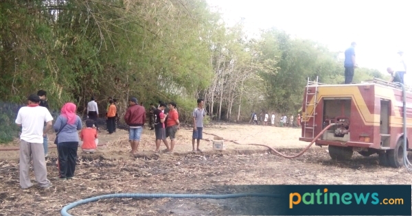 Lahan Bambu di Jakenan Terbakar, Damkar Dikerahkan
