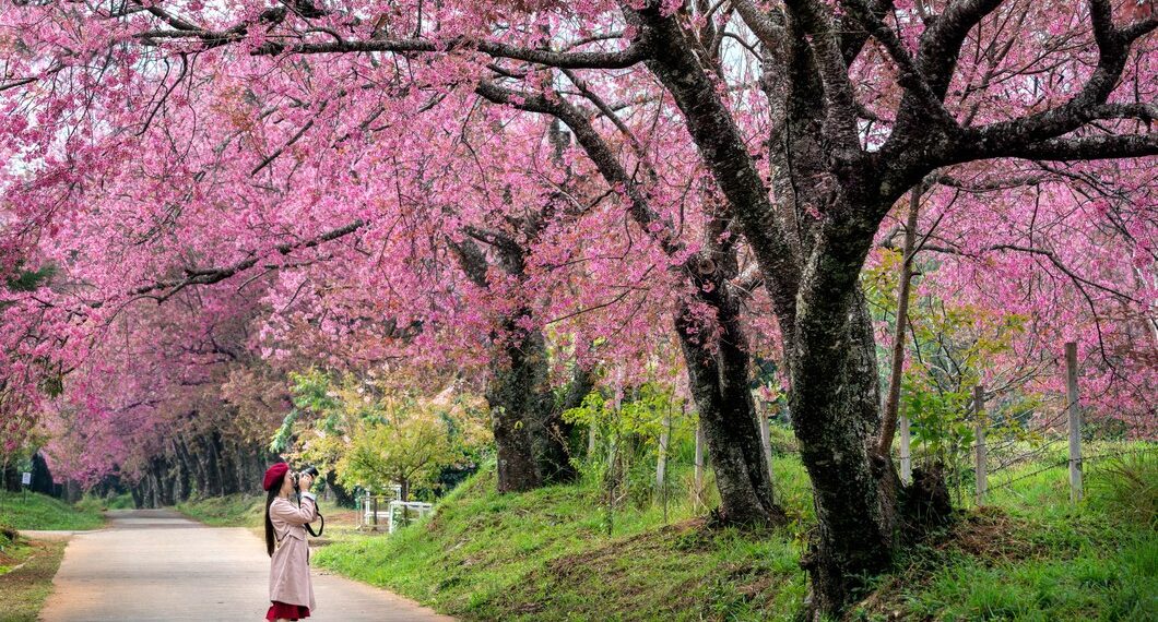 Taman Bunga Ashikaga, Jepang (Sumber: Freepik.com)