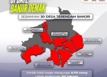 Update Banjir Demak, 30 Desa di 7 Kecamatan Terdampak