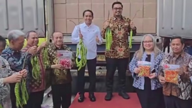 Produk Petani Pati Mendunia, Petai dan Jengkol Margorejo Tembus Pasar Jepang