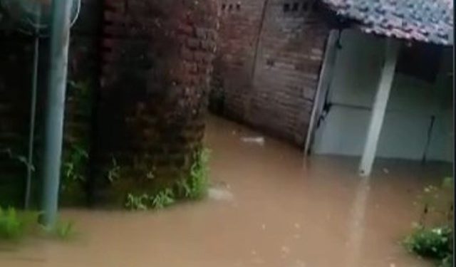 Banjir Desa Doropayung Juwana, 81 Rumah Terendam, 293 Warga Terdampak