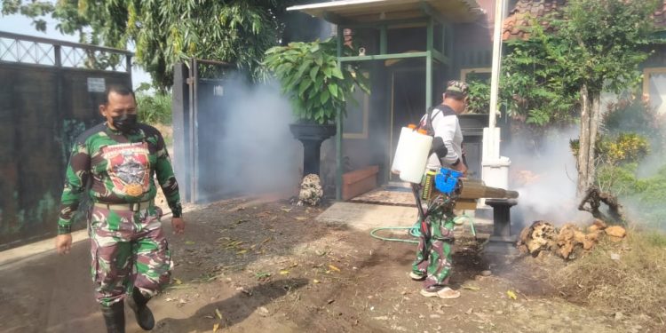 Cegah Penyebaran DBD, Koramil 0718-01/Pati Bersama Pemdes Mulyoharjo Gelar Fogging