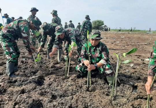 Kodim Pati Tanam 3000 Bibit Mangrove Di Pantai Desa Bulumanis Kidul Margoyoso