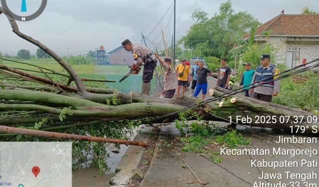 Sigap dan Cepat! Polsek Margorejo Evakuasi Pohon Tumbang di Desa Jimbaran