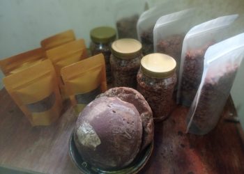 Ubah Lontar Jadi Pemanis Sehat: Ini Dia Inovasi Hebat Karya Mahasiswa UPER