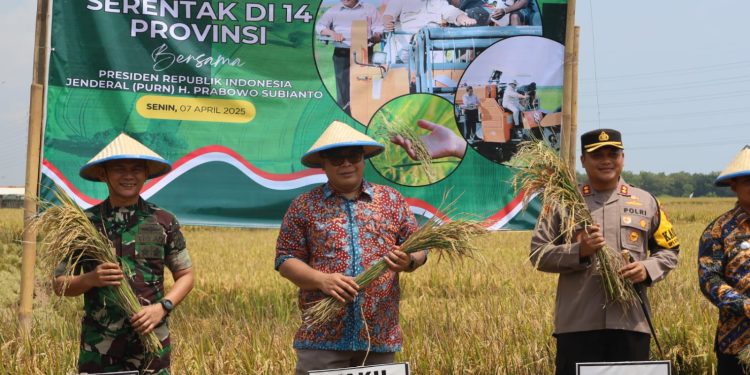 Kapolres Rembang Bersama Forkopimda Menghadiri Panen Raya Serentak