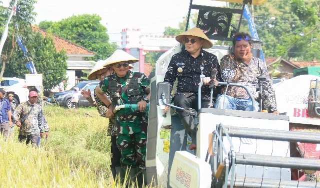 Produksi Beras Pati Tembus 137 Ribu Ton dalam 3 Bulan, Siap Jadi Andalan Nasional