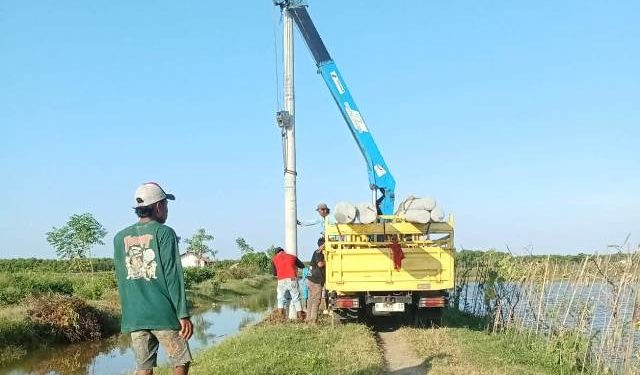 Wujudkan Listrik Masuk Tambak, Bupati Sudewo Sampaikan Capaian Terkini Pemenuhan Kebutuhan Listrik Petambak Ikan Nila Salin