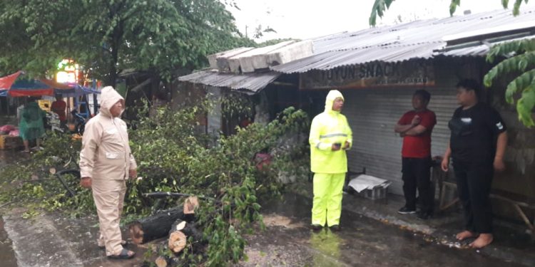 Bencana Puting Beliung Landa 3 Kecamatan di Sragen, Evakuasi Tim Gabungan Bersama Polisi Berlangsung Dramatis