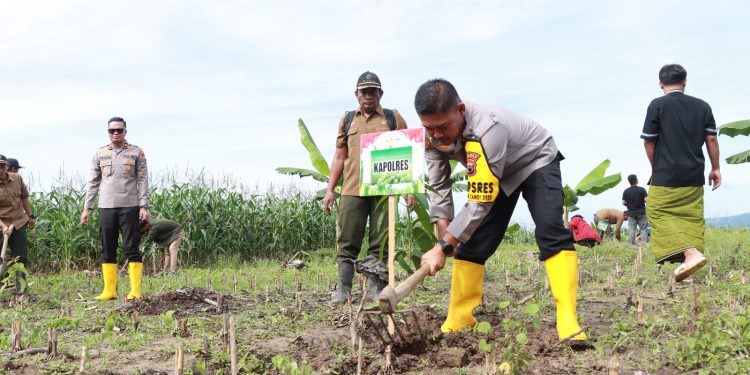 Kolaborasi Tanam 1100 Pohon, Polres Grobogan Komitmen Lestarikan Alam