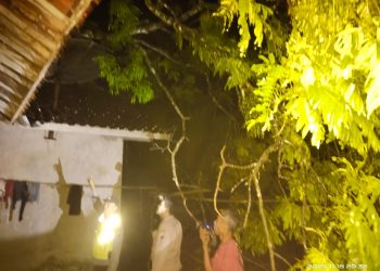 Dua Kejadian Bencana di Kebumen, Polisi Bergerak Cepat Tangani Longsor dan Pohon Tumbang