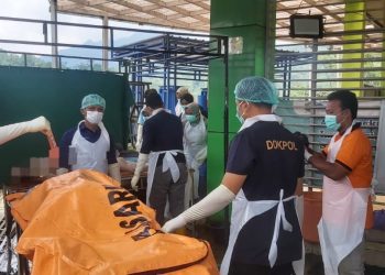 Tim DVI Tuntaskan Identifikasi Tujuh Korban, Upaya Pencarian dengan K9 Berlanjut Hingga Jumat Pagi