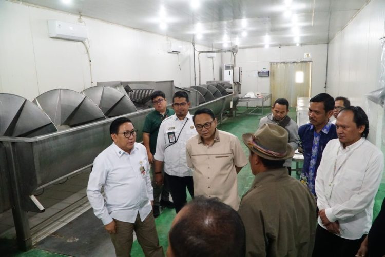 Kelangkaan DOC Broiler, Pemkab Pati dan Kementan Sepakati Distribusi 1.000 Box per Minggu