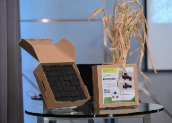 Tidak Hanya Jadi Konsumen, Gen Z Ini Olah Limbah Sorgum Jadi Produk Bernilai Guna