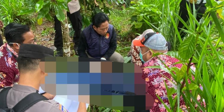 Tragis di Kebun Cengkeh, Pria Muda Ditemukan Tewas Gantung Diri di Tlogowungu