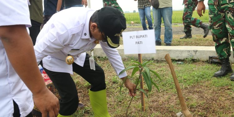 Satgas TMMD ke-128 Kodim Pati Tanam Pohon di Gunungpanti, Wujudkan Desa Hijau dan Berkelanjutan