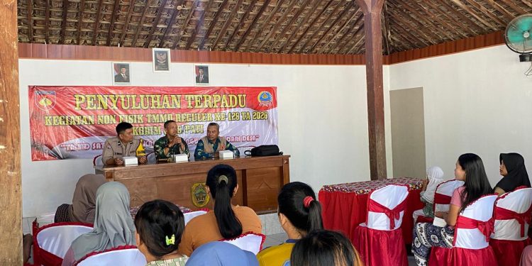 TMMD ke-128, Warga Desa Godo Dapat Penyuluhan Kesiapsiagaan Bencana