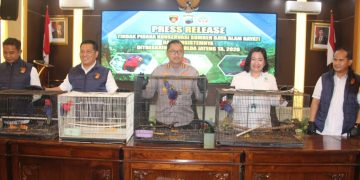 18 Burung Dilindungi Diselundupkan dari Papua, Tiga Warga Pati Diciduk