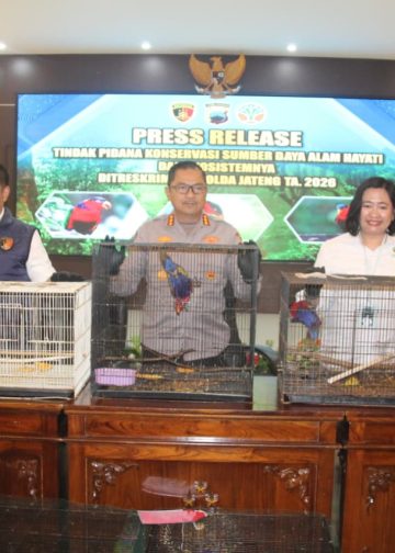 18 Burung Dilindungi Diselundupkan dari Papua, Tiga Warga Pati Diciduk