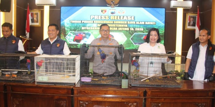 18 Burung Dilindungi Diselundupkan dari Papua, Tiga Warga Pati Diciduk