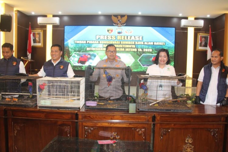 18 Burung Dilindungi Diselundupkan dari Papua, Tiga Warga Pati Diciduk