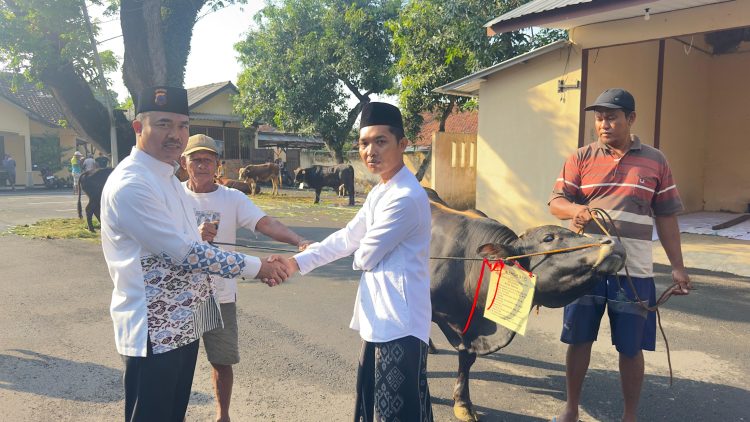 Polresta Pati Qurban 12 Sapi, 1 Kerbau, dan 21 Kambing pada Iduladha 1447 H