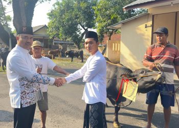 Polresta Pati Qurban 12 Sapi, 1 Kerbau, dan 21 Kambing pada Iduladha 1447 H
