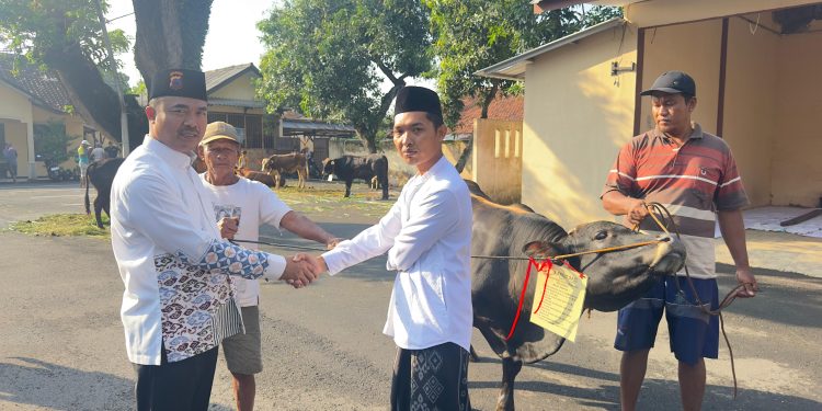 Polresta Pati Qurban 12 Sapi, 1 Kerbau, dan 21 Kambing pada Iduladha 1447 H