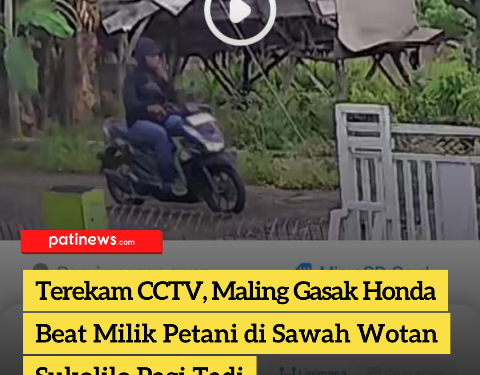 Terekam CCTV, Maling Gasak Honda Beat Milik Petani di Sawah Wotan Sukolilo Pagi Tadi