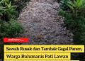 Sawah Rusak dan Tambak Gagal Panen, Warga Bulumanis Lor Pati Lawan Limbah Industri Lewat Kampanye Digital