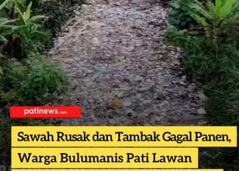Sawah Rusak dan Tambak Gagal Panen, Warga Bulumanis Lor Pati Lawan Limbah Industri Lewat Kampanye Digital