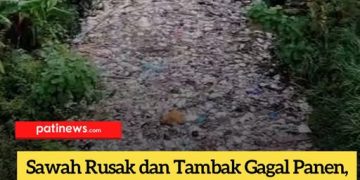 Sawah Rusak dan Tambak Gagal Panen, Warga Bulumanis Lor Pati Lawan Limbah Industri Lewat Kampanye Digital