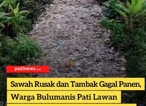 Sawah Rusak dan Tambak Gagal Panen, Warga Bulumanis Lor Pati Lawan Limbah Industri Lewat Kampanye Digital