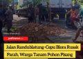Jalan Randublatung–Cepu Blora Rusak Parah, Warga Tanam Pohon Pisang dan Gelar Aksi Protes