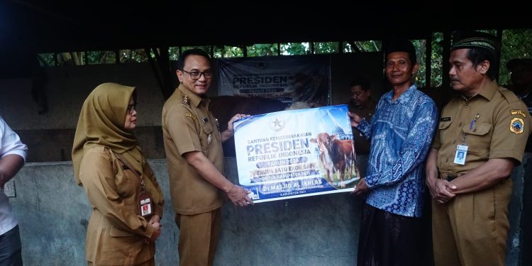 Pati Kebagian Sapi Kurban Presiden Prabowo, Simental 1,05 Ton Bernama “Arjuno” Diserahkan ke Warga Pucakwangi