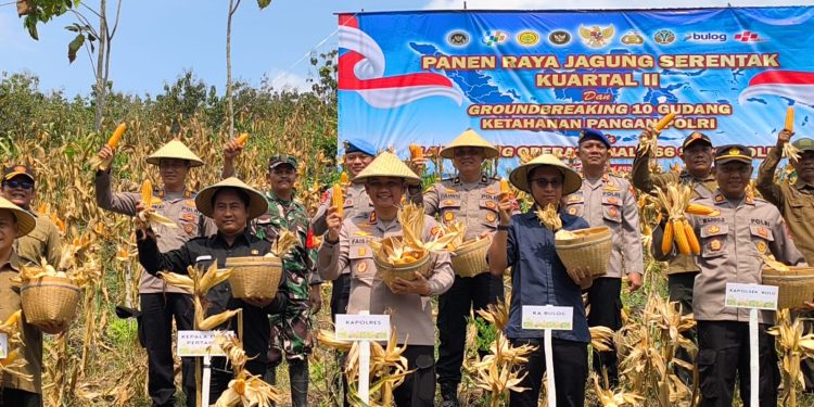 Polres Rembang Dukung Ketahanan Pangan Nasional, Kapolres Pimpin Panen Raya Jagung Serentak Kuartal II Tahun 2026