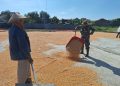 Satgas TMMD Bantu Penggilingan Jagung, Wujud Nyata Kepedulian di Desa Godo