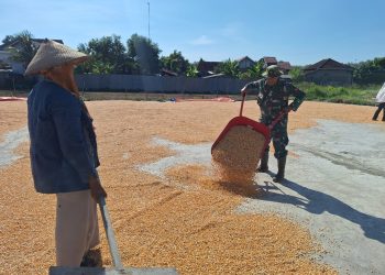 Satgas TMMD Bantu Penggilingan Jagung, Wujud Nyata Kepedulian di Desa Godo
