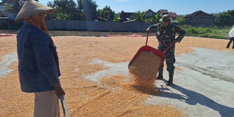 Satgas TMMD Bantu Penggilingan Jagung, Wujud Nyata Kepedulian di Desa Godo