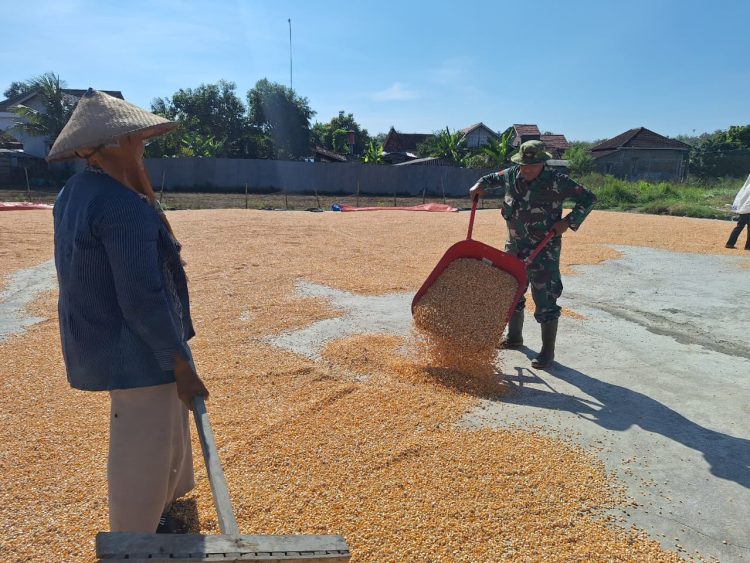 Satgas TMMD Bantu Penggilingan Jagung, Wujud Nyata Kepedulian di Desa Godo