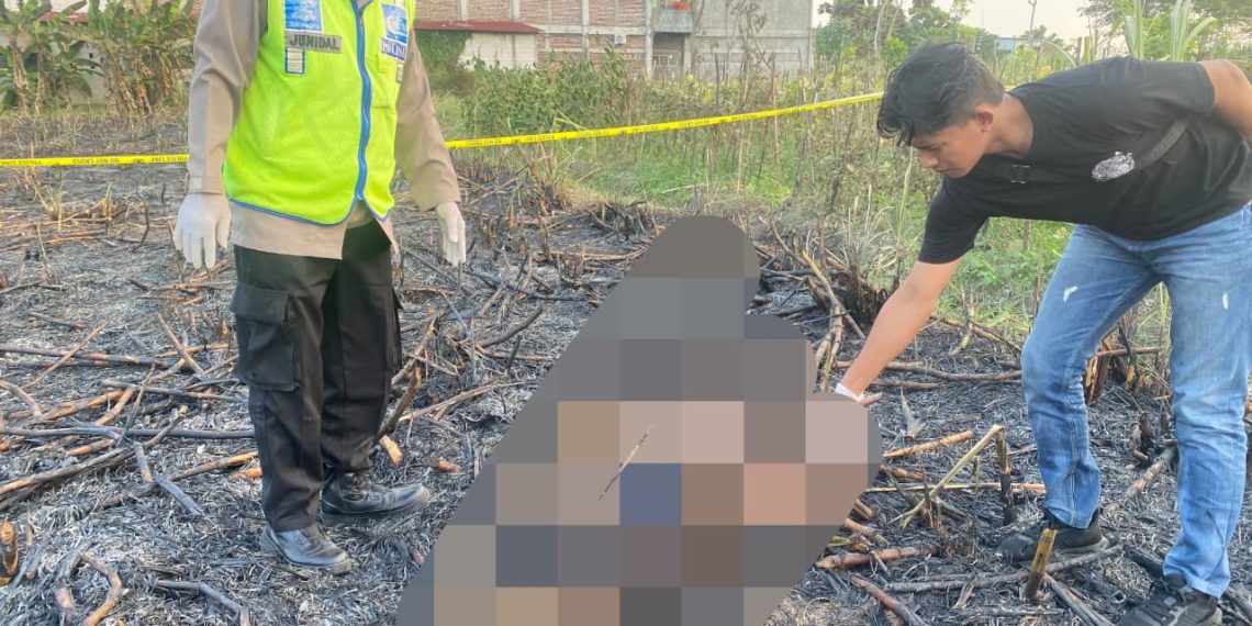 Petani di Wedarijaksa Meninggal Dunia Saat Membakar Slamper Tebu, Polisi Ingatkan Keselamatan Kerja