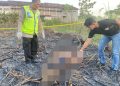 Petani di Wedarijaksa Meninggal Dunia Saat Membakar Slamper Tebu, Polisi Ingatkan Keselamatan Kerja