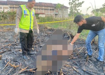 Petani di Wedarijaksa Meninggal Dunia Saat Membakar Slamper Tebu, Polisi Ingatkan Keselamatan Kerja