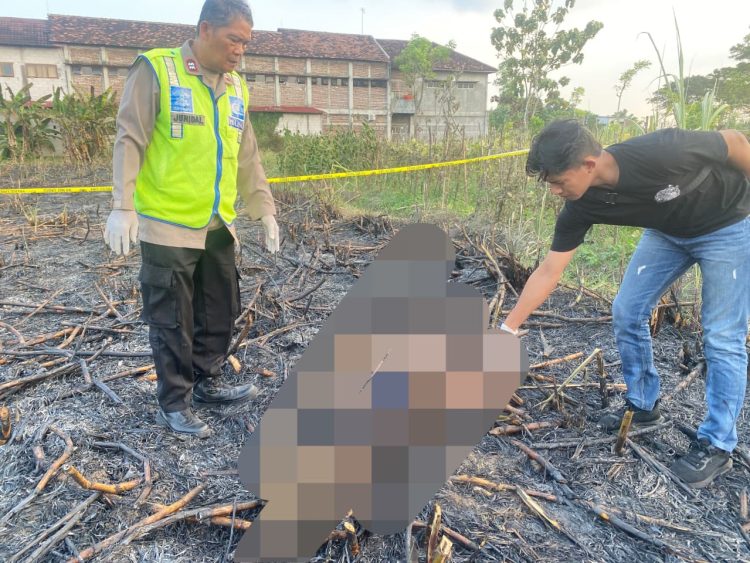 Petani di Wedarijaksa Meninggal Dunia Saat Membakar Slamper Tebu, Polisi Ingatkan Keselamatan Kerja