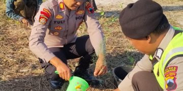 Kapolsek Sarang Hadiri Penanaman 500 Mangrove dan Cemara Laut Bersama Wagub Jateng di Pantai Temperak