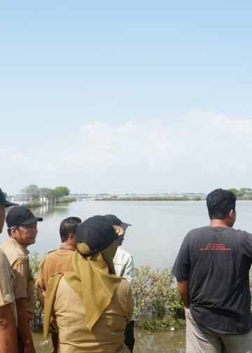 Pemkab Pati dan Pemprov Jateng Tangani Rob Tunggulsari, 450 Meter Tanggul Jebol Jadi Prioritas Perbaikan