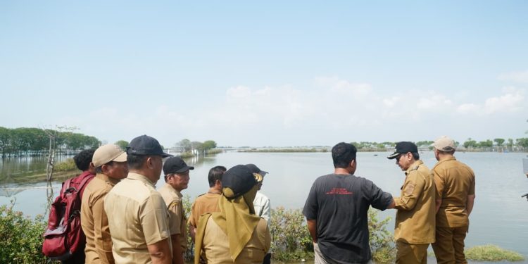 Pemkab Pati dan Pemprov Jateng Tangani Rob Tunggulsari, 450 Meter Tanggul Jebol Jadi Prioritas Perbaikan