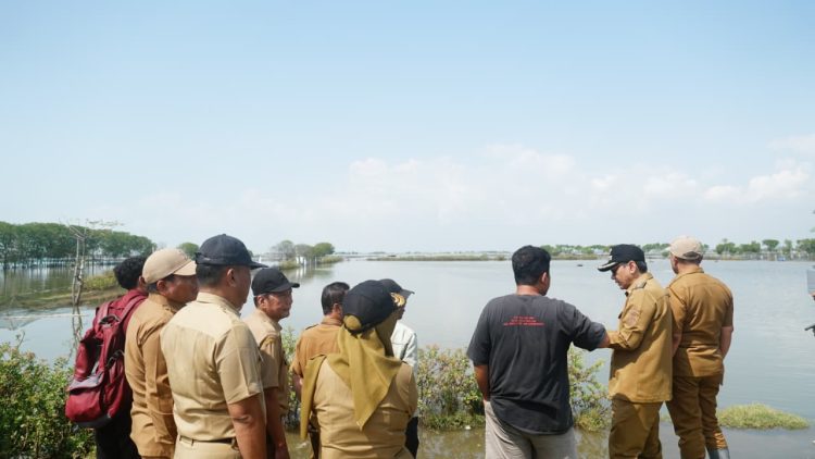 Pemkab Pati dan Pemprov Jateng Tangani Rob Tunggulsari, 450 Meter Tanggul Jebol Jadi Prioritas Perbaikan