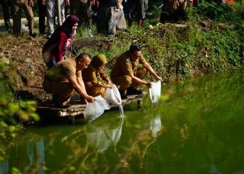 Bantuan 166.470 Benih Ikan Nila Genjot Pemulihan Perikanan Pascabanjir di Pati